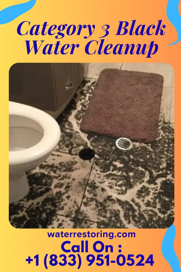 Category 3 Black Water Cleanup in Iron River, MI