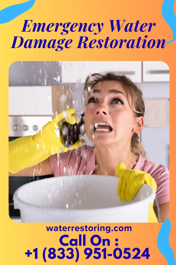 Emergency Water Damage Restoration in Iron River, MI