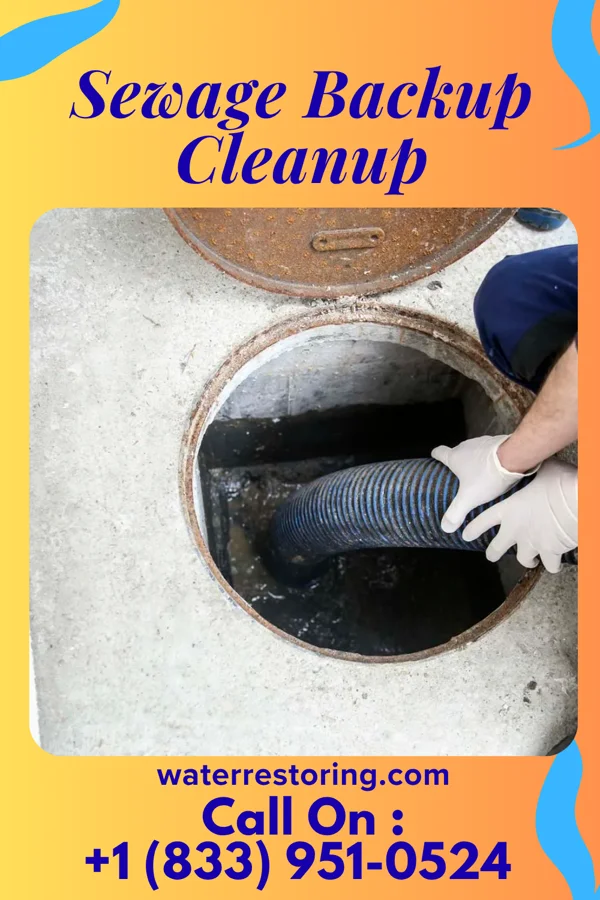 Sewage Backup Cleanup in Iron River, MI