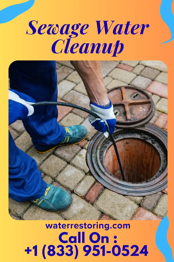 Sewage Water Cleanup in Iron River, MI